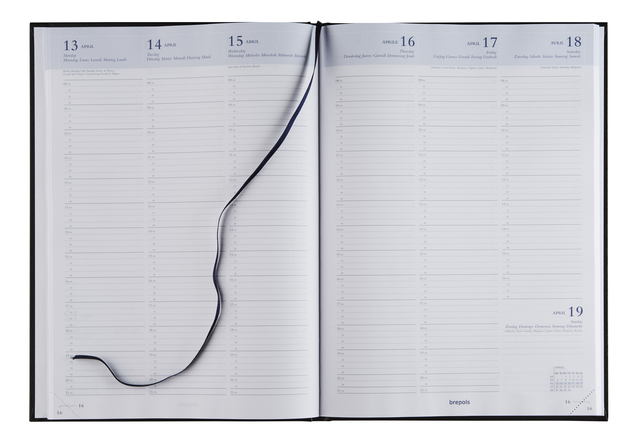 planner, calendar, open planner, two-page spread, ribbon bookmark