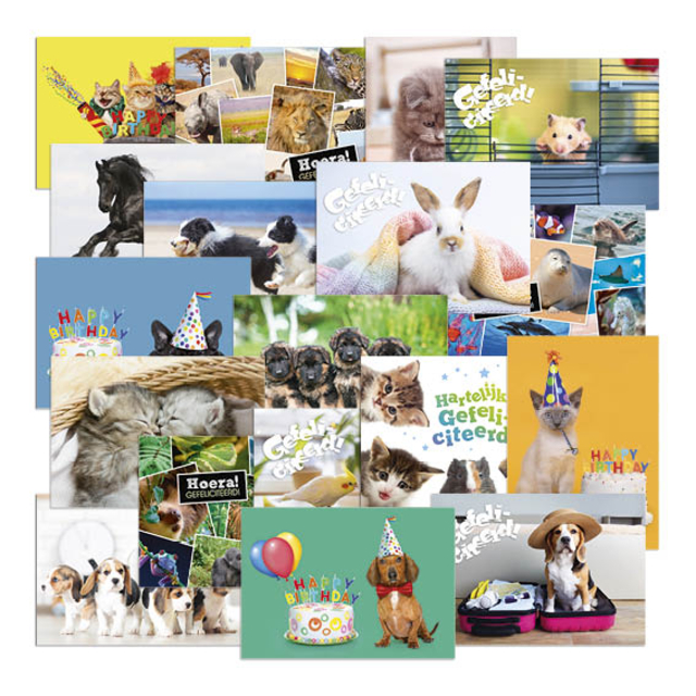 dierenfoto, kaartenset, verjaardag, kadokaart, dieren