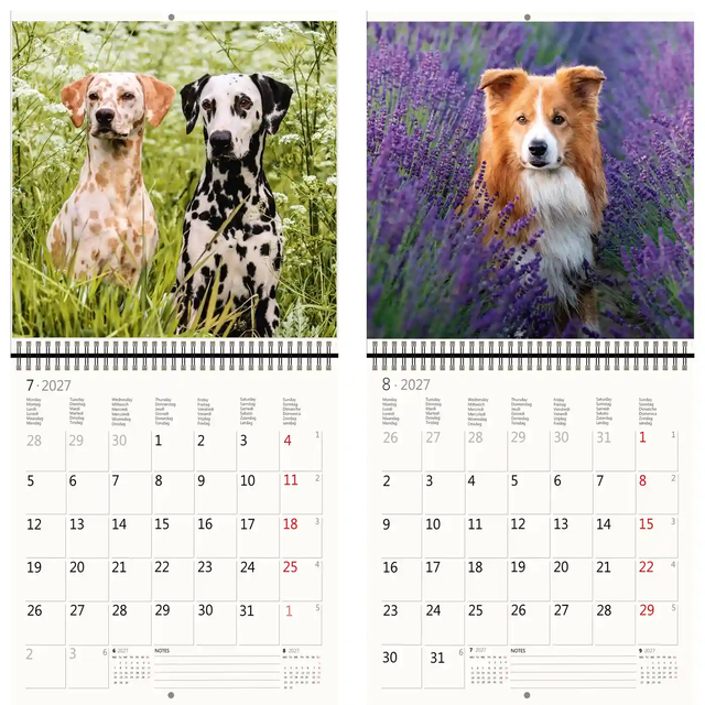 Kalender 2027 Helma 365 30x30cm honden