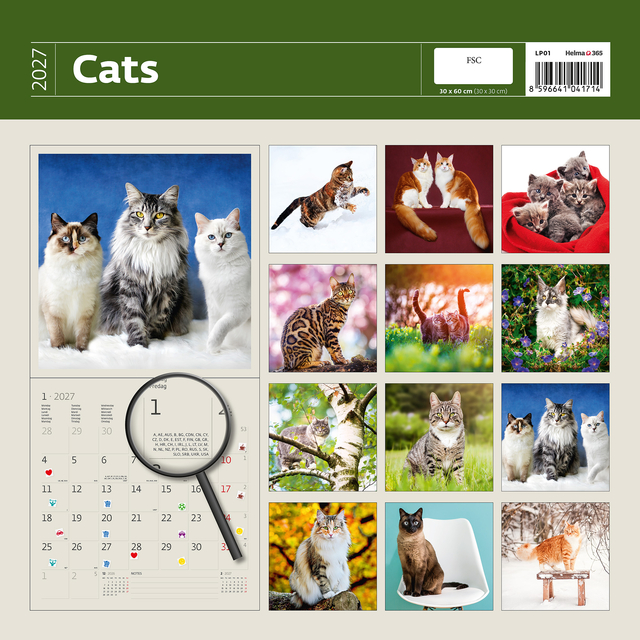 Kalender 2027 Helma 365 30x30cm katten