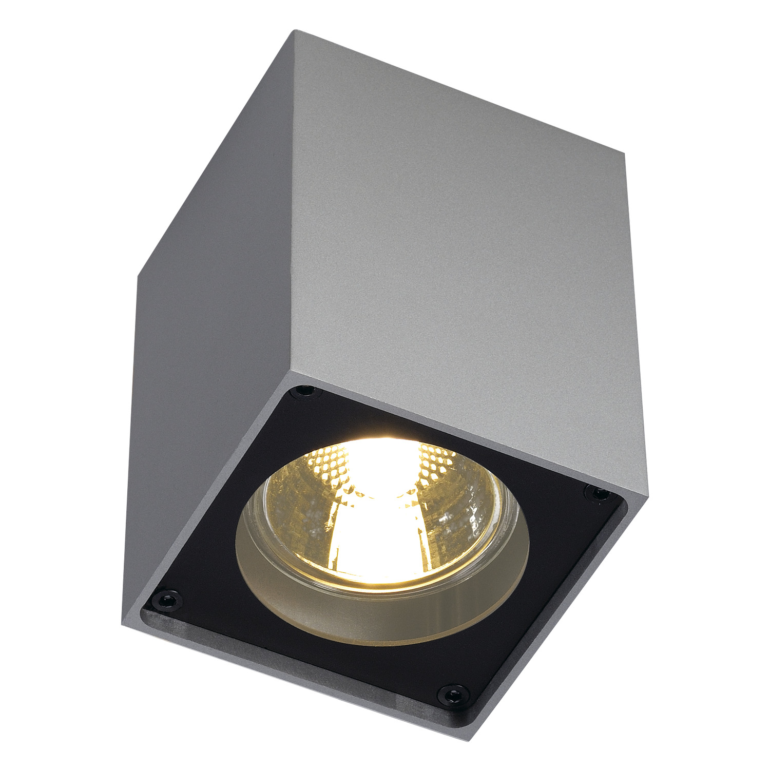 ALTRA DICE CL-1 zilvergrijs/zwart 1xGU10