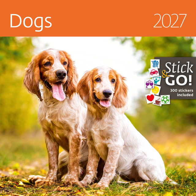 Kalender 2027 Helma 365 30x30cm honden